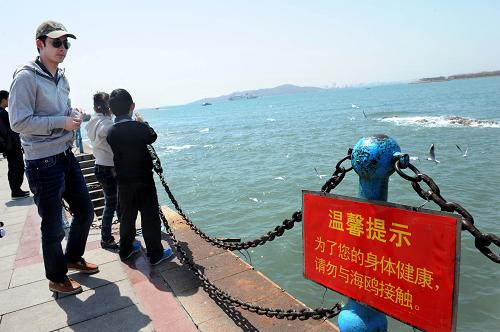 4月14日,游客在青島棧橋海邊觀賞海鷗。新華社記者 李紫恒 攝