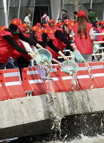 4月14日,志愿者參加“兩省四地共放食藻魚活動”。當(dāng)日,由中央文明辦主辦的2013環(huán)太湖生態(tài)文明志愿服務(wù)大行動暨“十百千萬”保護太湖志愿服務(wù)活動啟動儀式在浙江省湖州市太湖旅游度假區(qū)月亮廣場舉行。“環(huán)太湖生態(tài)文明志愿服務(wù)大行動”是一項以環(huán)太湖周邊的浙江省湖州市、江蘇省無錫市、蘇州市、常州市為主體的常態(tài)化跨地區(qū)志愿服務(wù)行動,旨在引導(dǎo)環(huán)太湖流域群眾崇尚低碳生活、保護生態(tài)環(huán)境、參與志愿服務(wù)。2013年的活動包括志愿服務(wù)宣傳、環(huán)保志愿者生態(tài)行、“環(huán)保嘉年華”巡演等系列內(nèi)容。此外,還將充分整合兩省四地志愿服務(wù)資源,組織10支以上專業(yè)志愿服務(wù)隊護太湖、百所學(xué)校美太湖、千個單位(家庭)愛太湖、萬名志愿者服務(wù)太湖。新華社發(fā)(盛國平 攝)