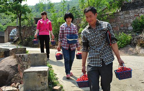 4月17日,在貴陽市烏當(dāng)區(qū)下壩鄉(xiāng)巖山村,農(nóng)民帶著游客采摘櫻桃歸來。新華社記者 楊楹 攝