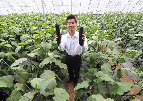 4月20日,壽光蔬菜產(chǎn)業(yè)控股集團(tuán)技術(shù)人員向嘉賓介紹荷蘭茄子和國(guó)產(chǎn)茄子種苗區(qū)別。新華社記者 李曉果 攝