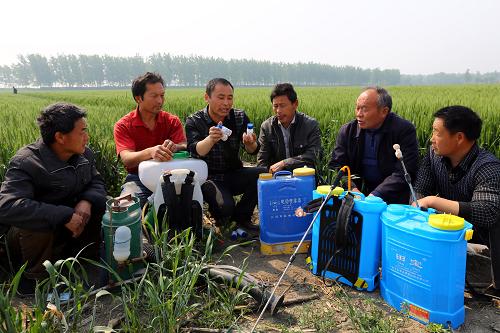 5月3日,在安徽小麥主產(chǎn)區(qū)淮北市,淮北濉溪縣華磊合作社的農(nóng)技人員在韓村鎮(zhèn)雙溝村指導(dǎo)農(nóng)民在田間開展小麥“一噴三防”工作。新華社發(fā)(萬(wàn)善朝 攝)