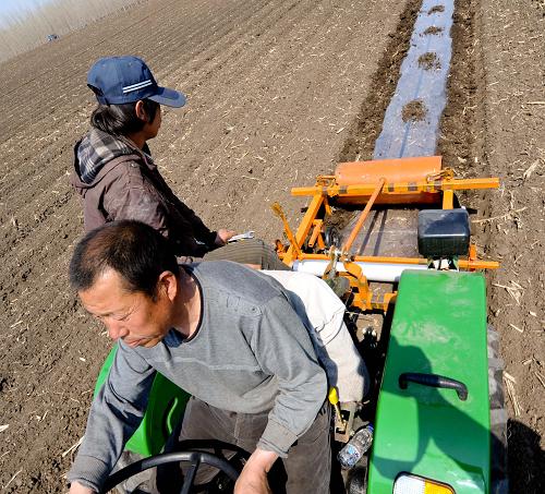 5月3日,肇東市農(nóng)民正在進(jìn)行膜下滴灌種植作業(yè)。新華社記者 王松 攝