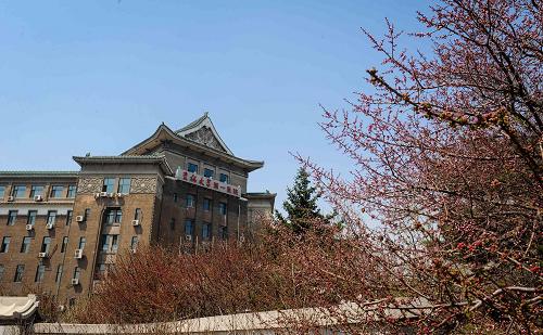 這是原偽滿洲國(guó)軍事部舊址(5月7日攝)。該建筑現(xiàn)為吉林大學(xué)第一醫(yī)院。近日,國(guó)家文物局公布第七批全國(guó)重點(diǎn)文物保護(hù)單位名單,長(zhǎng)春市內(nèi)的偽滿軍政機(jī)構(gòu)系列建筑群名列其中。這些老建筑的建筑風(fēng)格頗具特色,具有獨(dú)特的歷史文化內(nèi)涵,也成為研究偽滿洲國(guó)史難得的實(shí)證資料。新華社記者 許暢 攝