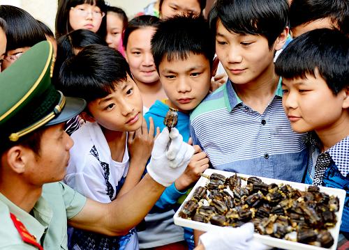 5月13日,長樂市阜山邊防派出所民警在長樂阜山中學(xué)禁毒教育課上教學(xué)生識別罌粟果實(shí)。新華社記者張國俊攝