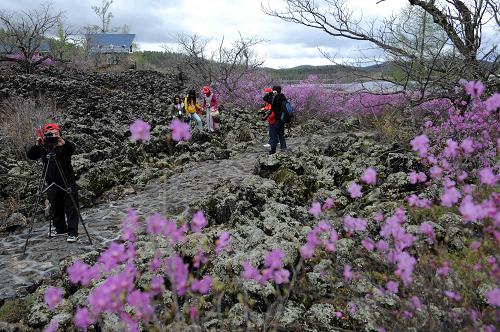 旅游者在內(nèi)蒙古大興安嶺達爾濱湖原始林區(qū)內(nèi)的火山巖、石塘林區(qū)駐足(5月14日攝)。新華社記者張領(lǐng)攝