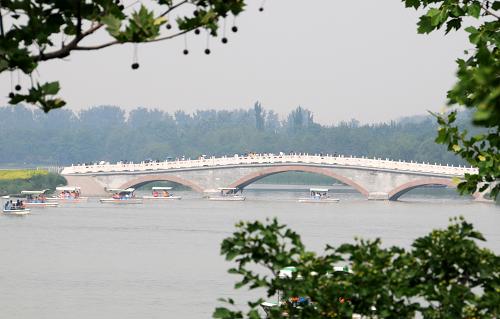 6月11日拍攝的北京南海子公園一角。新華社發(fā)(王振 攝)