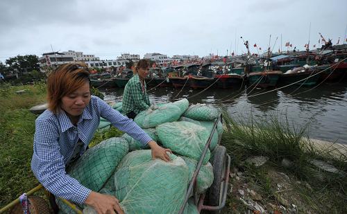 6月22日,海南省瓊海市潭門鎮(zhèn)的漁民在收拾漁具。新華社記者 趙穎全 攝