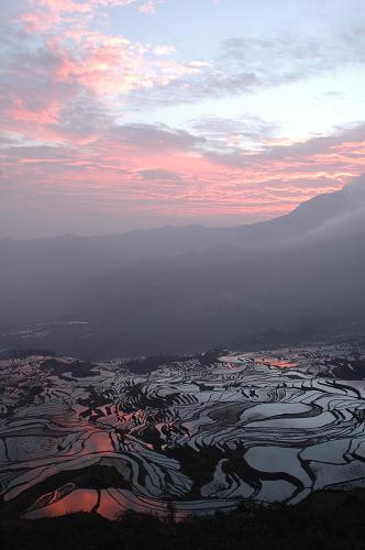 這是朝霞下的云南元陽多依樹梯田(2007年11月22日攝)。新華社記者 宋為偉 攝