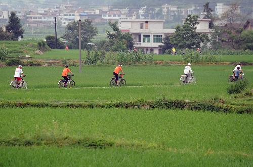 6月23日,貴州省都勻市老年自行車禁毒義務(wù)宣傳隊(duì)隊(duì)員騎車前往坩塘鎮(zhèn)邦水村開(kāi)展禁毒義務(wù)宣傳。在貴州省都勻市,有一支受人敬重的老年自行車禁毒義務(wù)宣傳隊(duì)。他們騎著自行車,帶著禁毒宣傳單,深入都勻的每一個(gè)鄉(xiāng)鎮(zhèn)進(jìn)行義務(wù)禁毒宣傳。宣傳隊(duì)由離退休醫(yī)生、警察、教師和工人組成,隊(duì)伍中最年輕的成員53歲,最年長(zhǎng)的已有75歲。