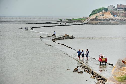 6月26日,村民們走在跨海路上。新華社記者 林善傳 攝