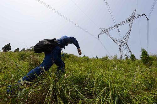6月28日,國家電網(wǎng)濟南供電公司巡線工爬上山嶺,巡護110千伏文張線。新華社記者 郭緒雷 攝