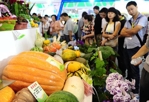 9月13日,在安徽國際會展中心,農(nóng)交會上的太空巨型南瓜等新農(nóng)產(chǎn)品吸引了參觀者。新華社發(fā)(虞俊杰 攝)