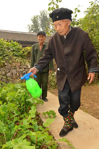 10月10日,河北省唐山市遷西縣111歲的羅素珍老人自己動手給院子里的蔬菜澆水。遷西縣興城鎮(zhèn)南觀村的羅素珍老人生于1902年,育有4個兒女,現(xiàn)與兒孫生活在四世同堂的大家庭里。雖已是111歲高齡,但老人精神矍鑠,澆花、剪紙、縫補衣服樣樣都行。重陽節(jié)到來之際,111歲的羅素珍老人被河北省老齡工作委員會辦公室推薦為2013年中國十大壽星評選候選人。今年10月13日是農(nóng)歷九月初九重陽節(jié),也是我國第一個法定的老年節(jié)。新華社發(fā)(鄭勇 攝)