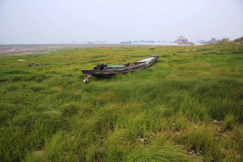 9月19日,漁船擱淺在鄱陽(yáng)湖江西九江市蛤蟆石水域附近長(zhǎng)滿青草的湖床上。新華社發(fā)(張海巖 攝)
