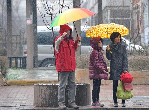 11月16日,吉林省長(zhǎng)春市,三位市民在雪中打車(chē)。新華社記者 張楠 攝