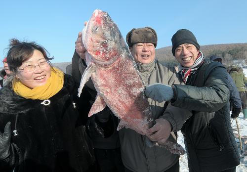 12月28日,游客在鏡泊湖水產(chǎn)養(yǎng)殖場(chǎng)冬季捕魚(yú)現(xiàn)場(chǎng)爭(zhēng)相與今冬第一網(wǎng)中最大的“頭魚(yú)”合影。 當(dāng)日,黑龍江鏡泊湖水產(chǎn)養(yǎng)殖場(chǎng)一年一度的冬季捕魚(yú)拉開(kāi)帷幕,漁業(yè)隊(duì)通過(guò)冰下捕撈作業(yè),收獲花鰱、白鰱、紅尾等各類(lèi)鮮魚(yú)1萬(wàn)多公斤,實(shí)現(xiàn)冬季捕撈首網(wǎng)開(kāi)門(mén)紅。鏡泊湖位于黑龍江省牡丹江市西南,是我國(guó)最大的高山堰塞湖,以盛產(chǎn)名優(yōu)魚(yú)種著稱(chēng)。近年來(lái),鏡泊湖水產(chǎn)養(yǎng)殖場(chǎng)積極開(kāi)展人工增殖放流,有效促進(jìn)了鏡泊湖的水產(chǎn)資源可持續(xù)利用。鏡泊湖水產(chǎn)養(yǎng)殖場(chǎng)冬季捕魚(yú)一般在元旦前開(kāi)網(wǎng)作業(yè),為即將到來(lái)的“兩節(jié)”提供新鮮魚(yú)類(lèi)。新華社發(fā)(張春祥 攝)