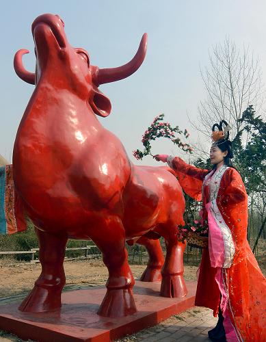 1月26日,“春姑娘”在演繹春節(jié)習(xí)俗“打春牛”。新華社記者 王頌 攝