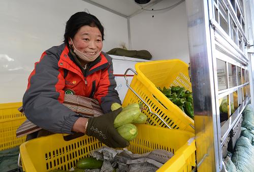 2月2日,售貨員卓嘎在平價(jià)蔬菜直銷車上銷售蔬菜。新華社記者 覺(jué)果 攝