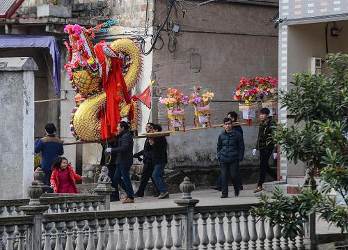 2月11日,浦江縣白馬鎮(zhèn)旌塢村百姓抬著板凳龍穿行在村里小巷中。 元宵節(jié)臨近,浙江省金華市浦江縣的各個(gè)村鎮(zhèn)開始舉辦一年一度的板凳龍活動(dòng)??钙鸢宓饰椠?,是當(dāng)?shù)剞r(nóng)家新年里的大事。浦江板凳龍,又稱為長(zhǎng)燈,由龍頭、龍身和龍尾三部分組成。一條龍從頭到尾,由幾十節(jié)、幾百節(jié)甚至上千節(jié)板凳串聯(lián)而成,長(zhǎng)度從數(shù)百米到幾千米不等。2006年,浦江板凳龍被文化部列入首批國(guó)家級(jí)非物質(zhì)文化遺產(chǎn)。在浦江縣,起燈的時(shí)間一般是農(nóng)歷正月初十,每戶出一人一條板凳,村子越大,龍?jiān)介L(zhǎng),舞龍的難度也越高,也最具觀賞性。相鄰的幾個(gè)鄉(xiāng)村通常還會(huì)把板凳龍舞到一起,相互比較誰的龍更長(zhǎng)、更漂亮、舞得更起勁。各村各鎮(zhèn)色彩絢麗的板凳龍?jiān)诠?jié)日里走街串巷,熱鬧起舞,祈求來年風(fēng)調(diào)雨順,家家戶戶快樂吉祥。新華社記者 徐昱 攝