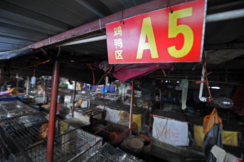 長(zhǎng)沙市馬王堆蔬菜批發(fā)市場(chǎng)的家禽區(qū)已經(jīng)停止?fàn)I業(yè)(2月22日攝)。長(zhǎng)沙市于2月19日通報(bào),對(duì)來(lái)自人感染H7N9禽流感病例的省份和地區(qū)的家禽一律禁止進(jìn)入長(zhǎng)沙,全市所有活禽交易市場(chǎng)將實(shí)行有計(jì)劃的休市。2014年1月以來(lái),長(zhǎng)沙及周邊地區(qū)人感染H7N9禽流感病例持續(xù)發(fā)生,多例外地感染病例先后來(lái)到長(zhǎng)沙診治。截至2月18日通報(bào),湖南省已確診12例人感染H7N9禽流感病例。新華社記者 李尕 攝