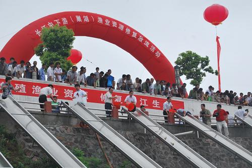 7月12日,嘉賓在安徽巢湖中廟參加放流活動。當(dāng)日,安徽舉行長江中下游漁業(yè)資源修復(fù)放流活動,向包括巢湖在內(nèi)的9個沿江湖泊放流經(jīng)濟(jì)水生動物1億尾,并計劃采取水草種植、修建人工魚巢等措施,修復(fù)長江中下游漁業(yè)資源和水域生態(tài)。新華社發(fā)(蘇自山 攝)