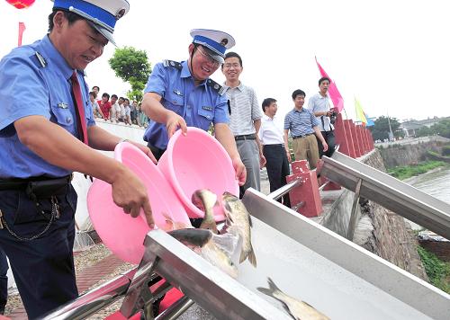 7月12日,漁業(yè)人員在安徽巢湖中廟參加放流活動。新華社發(fā)(何希斌 攝)