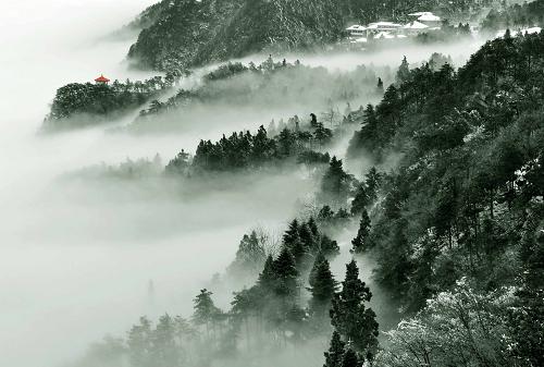 江西廬山小天池景區(qū)的植被籠罩在云霧中(2013年2月20日攝)。新華社發(fā)