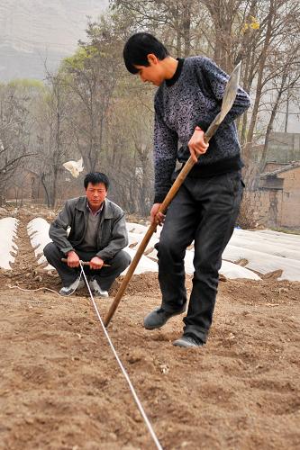 3月13日,在甘肅省甘谷縣大象山鎮(zhèn)狄莊村,農(nóng)民在土地上劃線備耕。新華社記者 陳斌 攝