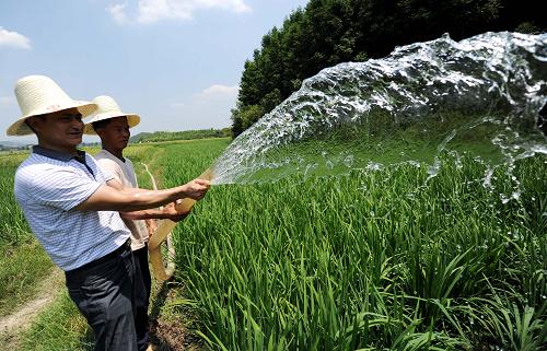 8月7日,江西新余市分宜縣操場(chǎng)鄉(xiāng)太湖村坪屋村小組41歲的農(nóng)民劉傳生在給干涸的稻田抽水澆灌。新華社記者 周科 攝