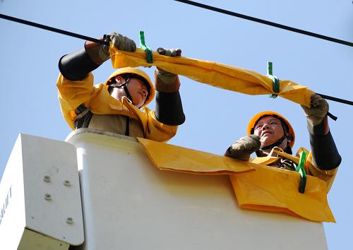 8月8日,江西贛西供電公司電力工人在新余市10千伏嶺泉911北湖西Ⅱ線進(jìn)行帶電作業(yè)。新華社記者 周科 攝