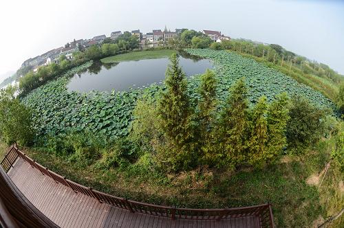 太湖圖影生態(tài)濕地文化園一景(9月13日攝)。新華社記者 徐昱 攝