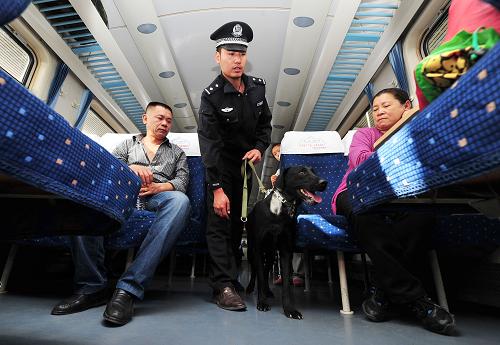 9月27日,在銀川開往北京的一趟列車上,銀川鐵路公安處特警支隊的干警正在利用搜爆犬進行行李搜爆。9月27日,蘭州鐵路局銀川客運段同銀川鐵路公安處特警支隊聯(lián)合舉行安全培訓(xùn)演練活動,通過對一線鐵路職工進行急救、消防等應(yīng)急培訓(xùn)和搜爆演練等,提高鐵路的安全保障能力,為即將到來的“十一”黃金周運輸客流高峰進行備戰(zhàn),保障客運安全。新華社記者 彭昭之 攝