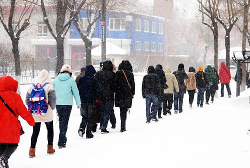 11月18日,哈爾濱市民沿著一條被踩出來的雪路排成一排向前走。(新華社記者 王凱 攝)