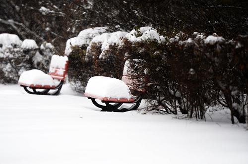 哈爾濱市一小區(qū)內的休息長凳上蓋滿了積雪(11月18日攝)。(新華社記者 王凱 攝)