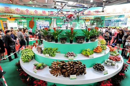 11月18日,農(nóng)博會現(xiàn)代農(nóng)業(yè)區(qū)引來了眾多的市民參觀。(新華社記者 林善傳 攝)