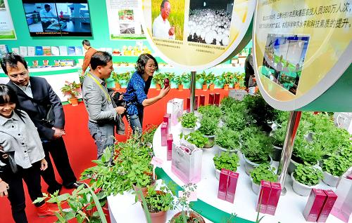 11月18日,人們?cè)趨⒂^(guān)福建省農(nóng)科院等單位展出的香味花草和化妝品。(新華社記者 林善傳 攝)