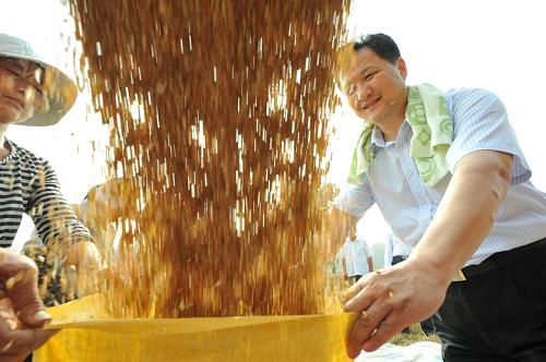 人們?cè)诮K省睢寧縣雙溝鎮(zhèn)搶收小麥(6月14日攝)。新華社發(fā)(洪星 攝)