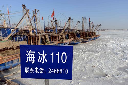 萊州公安邊防大隊(duì)在海廟口漁港醒目位置張貼“海冰110”告示牌(1月10日攝)。新華社記者 郭緒雷 攝