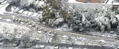 1月18日,貴陽市已被厚厚的積雪覆蓋,處處銀裝素裹。 1月17日8時(shí)至18日8時(shí),貴州各地普遍出現(xiàn)降雪天氣,其中有77個(gè)縣(區(qū)、市)出現(xiàn)積雪或凝凍,且近期雨雪凝凍將維持。據(jù)悉,貴州大部地區(qū)積雪深度在2厘米以上,貴州西部及中東部地區(qū)在5厘米以上,貴州省氣象臺(tái)18日繼續(xù)發(fā)布道路結(jié)冰紅色預(yù)警。 新華社記者 歐東衢攝