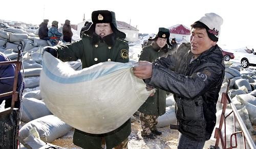 1月18日,嘎達(dá)布其公安邊防派出所的民警在幫助牧民搬運(yùn)抗災(zāi)飼料。 當(dāng)日,內(nèi)蒙古錫林郭勒盟東烏珠穆沁旗嘎達(dá)布其鎮(zhèn)政府為遭受嚴(yán)寒和風(fēng)雪侵襲的牧民發(fā)放牲畜精飼料,駐地的武警公安邊防派出所派出人員車輛幫助牧民運(yùn)送飼料。入冬以來(lái),內(nèi)蒙古錫林郭勒盟東烏珠穆沁旗草原遭受了嚴(yán)寒和大雪的侵襲,部分草原積雪厚度超過(guò)40厘米,最低氣溫接近零下40攝氏度,當(dāng)?shù)馗骷?jí)政府從內(nèi)蒙古周邊盟市以及河北、吉林等地調(diào)運(yùn)大量飼草料,幫助牧民進(jìn)行冬季抗災(zāi)養(yǎng)畜。同時(shí),駐地的武警邊防部隊(duì)出動(dòng)大批車輛和人員幫助牧民運(yùn)送飼草料和燃料、糧食。 新華社記者李欣攝