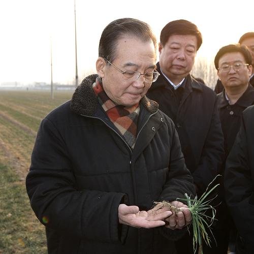 這是2月2日,溫家寶來(lái)到曲阜市吳村鎮(zhèn)中心村東大嶺的麥田里察看旱情。 新華社記者 姚大偉 攝