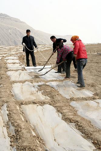 2月25日,甘肅臨夏永靖縣楊塔鄉(xiāng)砂宗村農(nóng)民在田間覆膜抗旱保墑。 甘肅省臨夏回族自治州各地抓住2月底氣溫回升的有利時機,引導農(nóng)民開展頂凌覆膜,做好抗旱保墑工作,為今年的糧食生產(chǎn)打基礎。 新華社發(fā)(史有東 攝)
