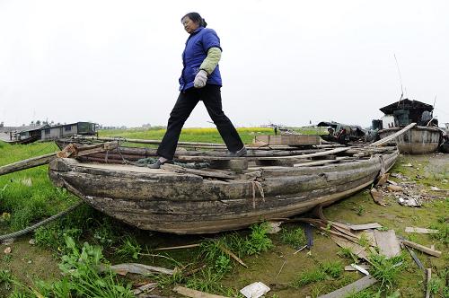 岳陽洞庭湖邊一艘漁船的上岸跳板因枯水而全部擱淺(4月12日攝)。 記者從湖南省防汛抗旱指揮部辦公室了解到,今年以來,湖南全省降水量異常偏少,尤其是洞庭湖區(qū)春旱嚴(yán)重,初步統(tǒng)計目前已有182萬畝農(nóng)田春耕受到影響,另有44萬余人的生活飲水受到影響。 據(jù)氣象預(yù)報,湖南近期沒有大的降雨,氣溫將持續(xù)升高,部分地區(qū)干旱更趨嚴(yán)重,將影響夏糧生產(chǎn)和群眾飲水安全。湖南省防指十分重視當(dāng)前洞庭湖區(qū)旱情,要求相關(guān)部門加強監(jiān)測,采取一切措施開展抗旱保春耕、保供水工作。目前,洞庭湖區(qū)共投入35萬人、抗旱機械1.8萬臺套,采用一切抗旱措施,力保糧食生產(chǎn)和群眾生活不受大的影響。 新華社記者 龍弘濤 攝