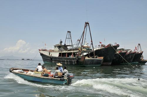 8月1日,廣東深圳市龍崗區(qū)南澳街道漁民駕駛漁船出海捕魚。新華社發(fā)(李堅(jiān)強(qiáng) 攝)