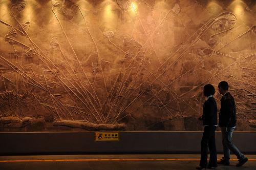 這是10月22日在關(guān)嶺化石群國(guó)家地質(zhì)公園內(nèi)拍攝的海百合化石。正在召開的“中國(guó)古生物學(xué)會(huì)第26屆學(xué)術(shù)年會(huì)”上,貴州關(guān)嶺化石群國(guó)家地質(zhì)公園被中國(guó)古生物學(xué)會(huì)授予“全國(guó)科普教育基地”稱號(hào)。上世紀(jì)40年代,貴州關(guān)嶺布依族苗族自治縣新鋪鄉(xiāng)臥龍崗一帶,發(fā)現(xiàn)了距今2.2億年前的化石。隨后,鸚鵡螺、海龍、鰭龍等海生爬行動(dòng)物化石群相繼被發(fā)現(xiàn),各類化石保存數(shù)量巨大,形態(tài)精美,為全球同期地層所罕見。據(jù)介紹,該化石群不僅具有極高的觀賞性和收藏價(jià)值,更重要的是對(duì)于研究晚三疊世地層、古生物、古生態(tài)和古埋藏學(xué)以及海生爬行動(dòng)物和海百合化石的分類演化具有重要意義,近年來吸引了大量中外研究、參觀者。2004年,關(guān)嶺化石群被批準(zhǔn)建立國(guó)家地質(zhì)公園,并于2006年9月正式開園。新華社記者 劉續(xù) 攝