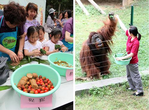 6月23日,熱心市民在南京紅山森林動物園為動物包粽子(左圖);6月23日,南京紅山森林動物園的管理員將市民包的粽子遞給紅猩猩“樂申”(右圖)。(拼版圖片) 當日,江蘇南京紅山森林動物園舉辦了一場“我為動物包粽子”主題活動,吸引眾多市民前來參加。他們用西紅柿、荔枝、黃瓜、窩窩頭等為河馬、猩猩、松鼠猴等動物制作粽子,讓動物們也能吃美味過端午。 新華社發(fā)(季漢東 攝)