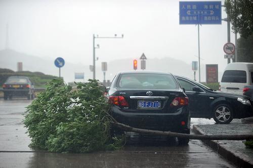 8月7日,在遭遇特大暴雨襲擊的浙江象山石浦鎮(zhèn)街區(qū),一棵倒下的樹橫在路邊。當(dāng)日中午起,受強(qiáng)臺(tái)風(fēng)“???#8221;影響,浙江省寧波市象山縣石浦鎮(zhèn)持續(xù)遭遇特大暴雨襲擊,并伴有10級(jí)以上大風(fēng),街區(qū)有些樹木被連根拔起,一片狼藉。為此,浙江省氣象臺(tái)于當(dāng)日14時(shí)將臺(tái)風(fēng)橙色預(yù)警信號(hào)升級(jí)為最高等級(jí)紅色。據(jù)浙江省氣象臺(tái)最新監(jiān)測(cè),“???#8221;7日14時(shí)加強(qiáng)為強(qiáng)臺(tái)風(fēng)后,17時(shí)中心風(fēng)力繼續(xù)加強(qiáng)到15級(jí)(48米/秒),其中心位于臺(tái)州東南偏東方向約246公里的海面上。預(yù)計(jì)“海葵”將以每小時(shí)10至15公里的速度向西北偏西方向移動(dòng),最大可能將于7日后半夜到8日上午在三門灣附近一帶登陸。新華社記者 黃宗治攝