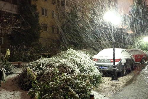 北京迎來雨夾雪天氣 11月4日凌晨,北京海淀區(qū)降下鵝毛大雪。 11月3日夜晚開始,北京迎來一場(chǎng)雨夾雪天氣,并伴有大幅降溫,給市民出行帶來不便。 新華社記者段卓力攝