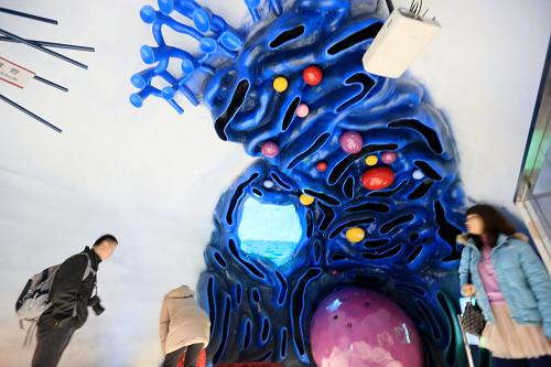 2月12日,觀眾在北京中國(guó)科技館內(nèi)參觀人體的微管模型,感受“科技春節(jié)”。新華社發(fā)
