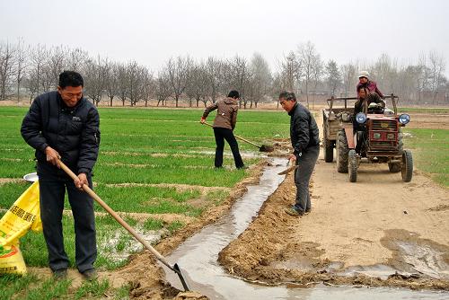 河北省安國市常莊村農(nóng)民在疏通水渠為返青麥苗澆水(4月4日攝)。清明時節(jié),位于華北平原腹地的河北省安國市常莊村農(nóng)民抓緊農(nóng)時耕地、除草、播種,為返青麥苗澆水施肥。近年來,河北省安國市積極加大農(nóng)業(yè)生產(chǎn)投入,創(chuàng)新農(nóng)業(yè)經(jīng)營模式,全面推進高效規(guī)模農(nóng)業(yè)發(fā)展。新華社記者 何俊昌 攝